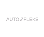 Auto Fleks