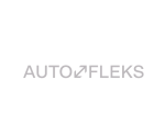 Auto Fleks logo